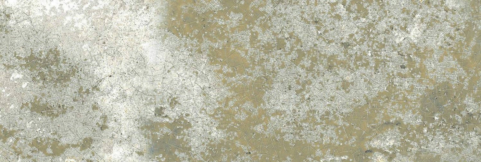 Lisboa Musgo | Mayolica EN