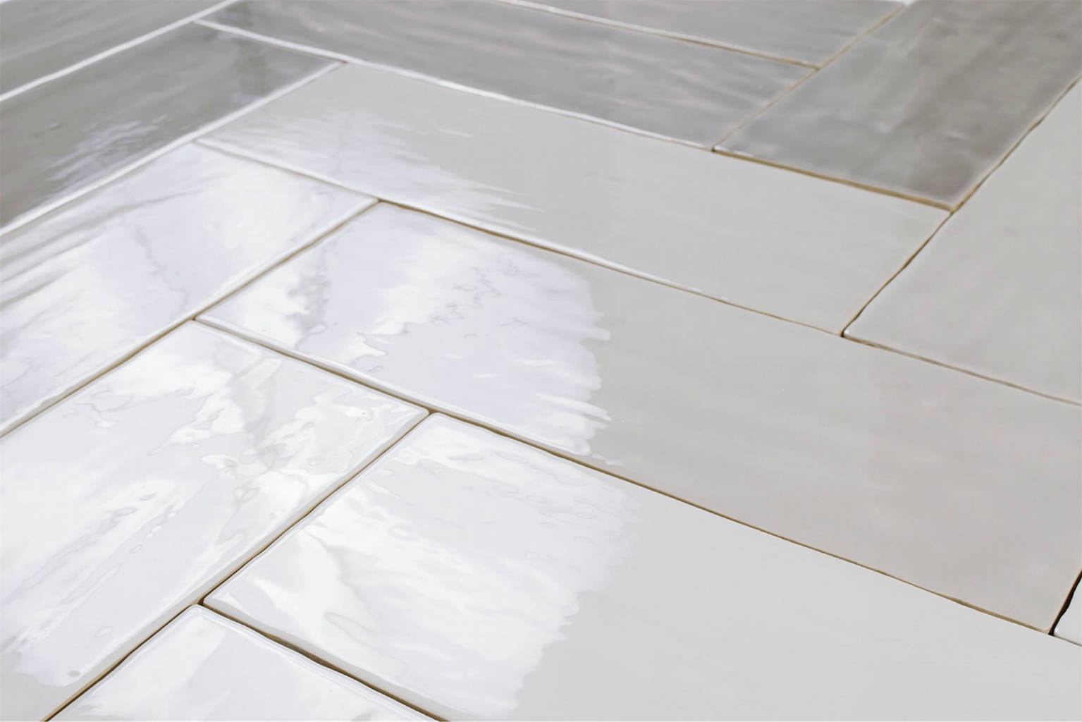 Madison Marengo | Mayolica EN