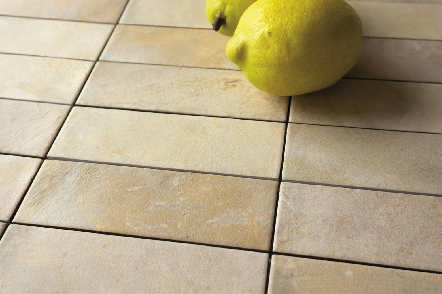 Gandia Medium | Mayolica